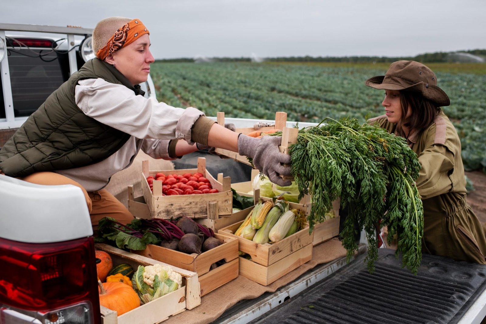 Agriculture and Cold Chain Logistics Panels