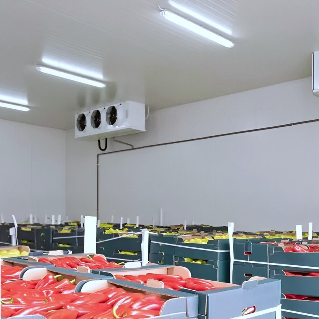 Cold Room Supplier in Naples