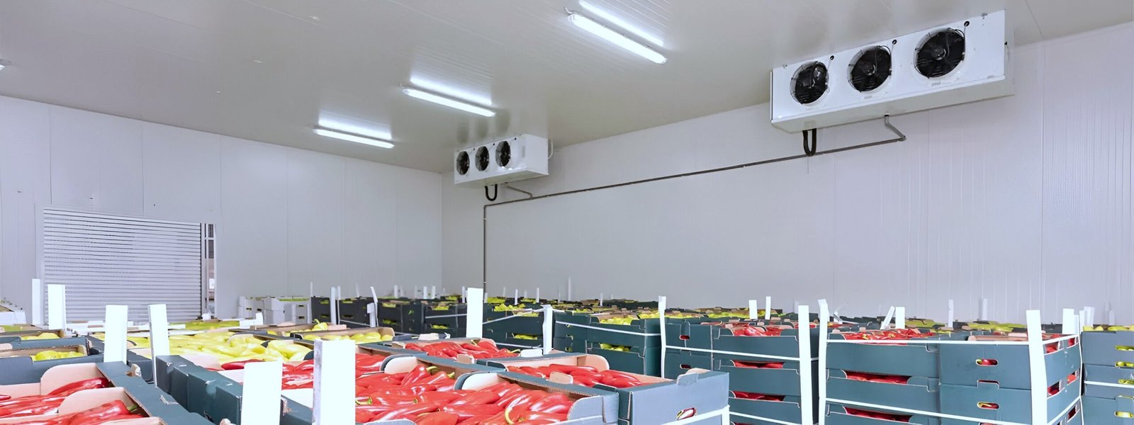 Cold Room Supplier in Naples